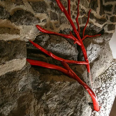 Pensjonat Domos Mi & Ro Castelsardo